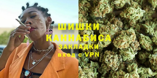 дмт Белокуриха