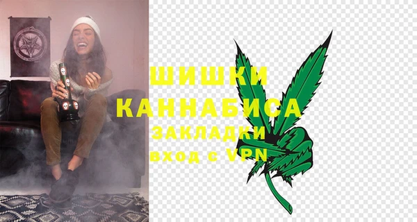 дмт Белокуриха