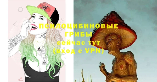 первитин Белоозёрский